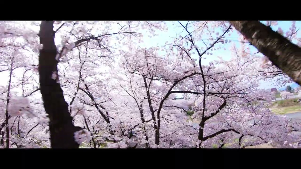 2022 OHANAMI Shotの映像サムネイル